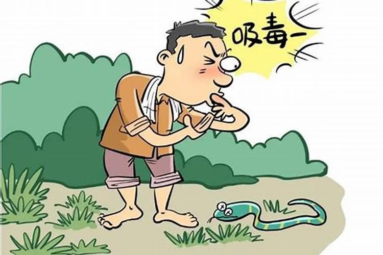 梦见蛇是什么预兆会发生什么事情