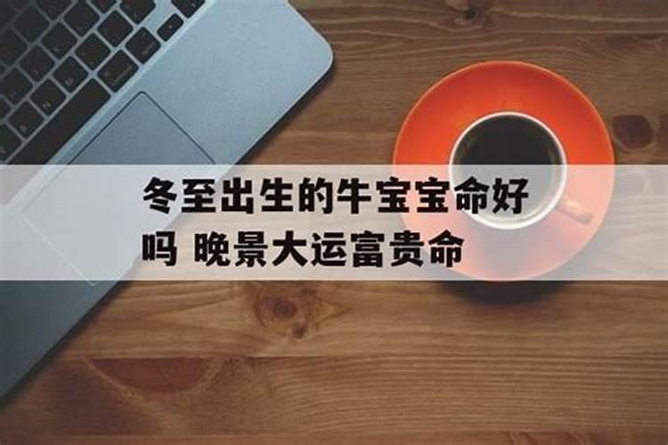 冬至后属牛运气会好吗