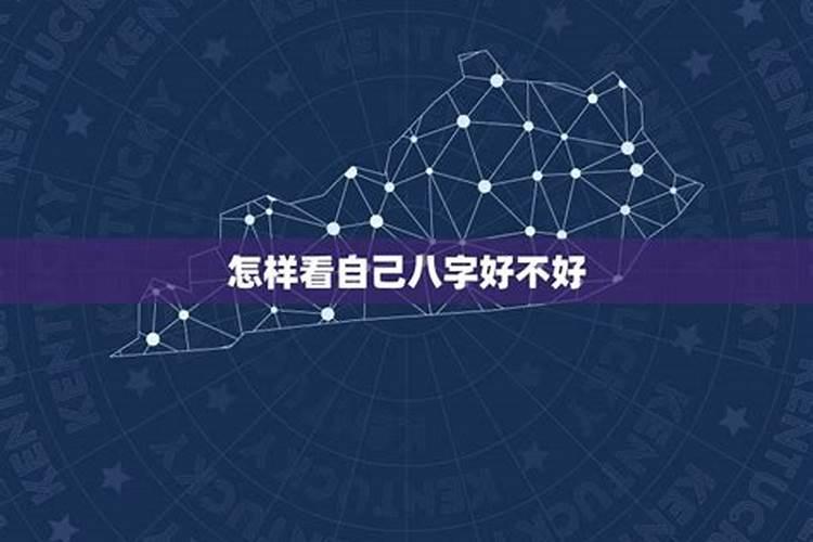 生肖运势10月运势2023年运程如何