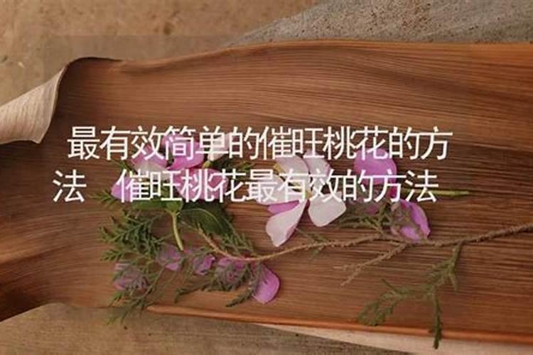 寒衣节没烧纸冬至烧可以么