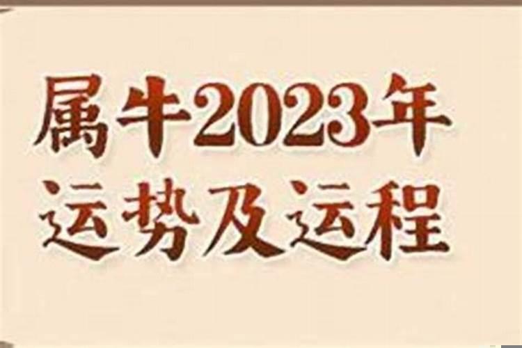 1974年虎2023年运势及运程