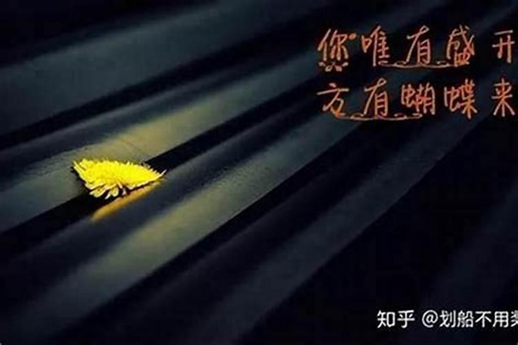 梦见花和花瓶是什么意思周公解梦