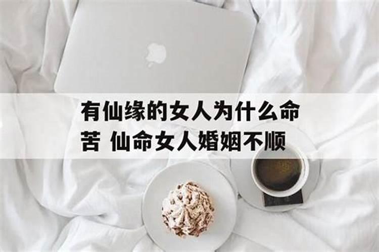 于谦的属相是什么