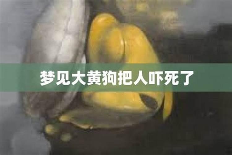 梦到自己的车被水冲走了,人没得事