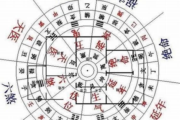 31年属羊的今年多大了呀