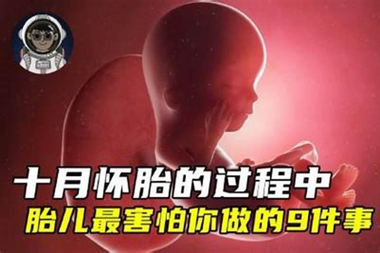 一鸣惊人形容什么生肖