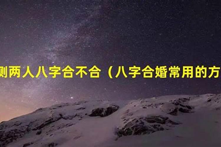 1982年属狗2023年运势和事业爱情怎样