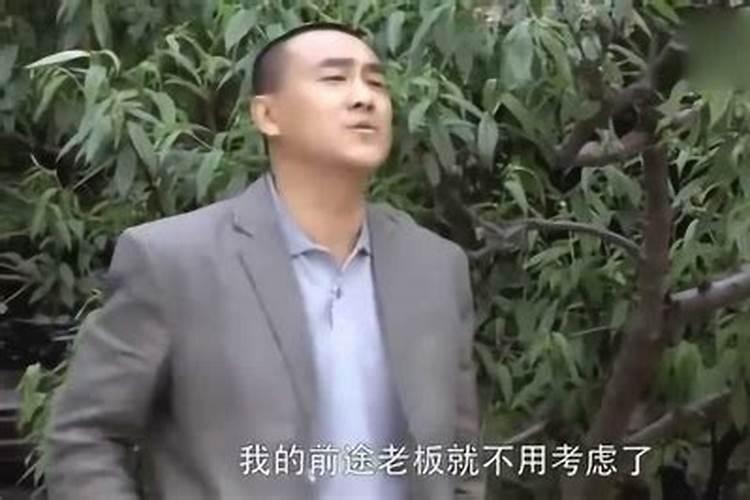 孕妇梦见很多黄蛇是什么意思