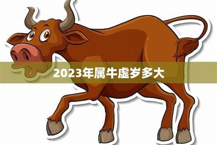 属牛的年龄表2020虚岁