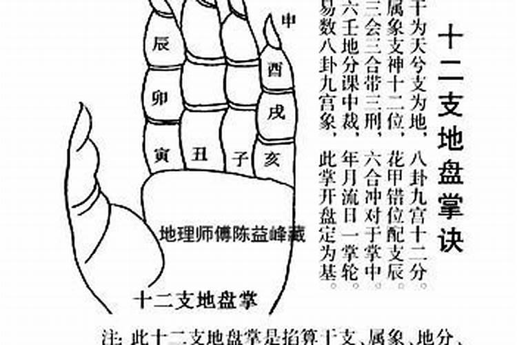 周公解梦梦见牛粪垛墙