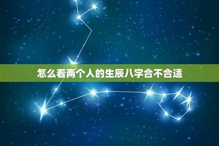 1964年属龙今年运势财运如何