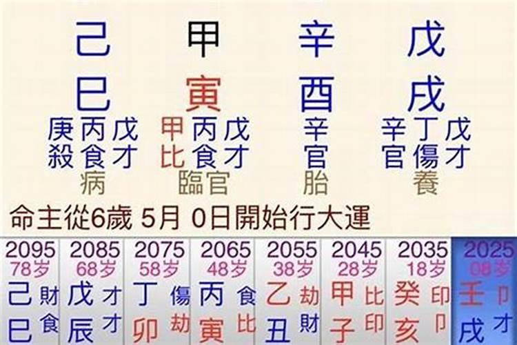 八字从强格详解