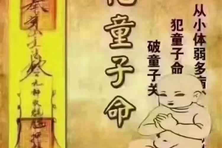 梦见牛头会动