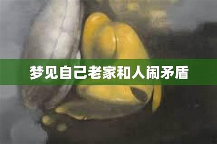 梦见姐姐生个宝宝