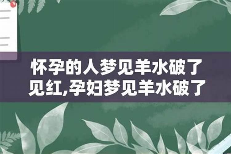 属鸡家里养什么植物旺财运