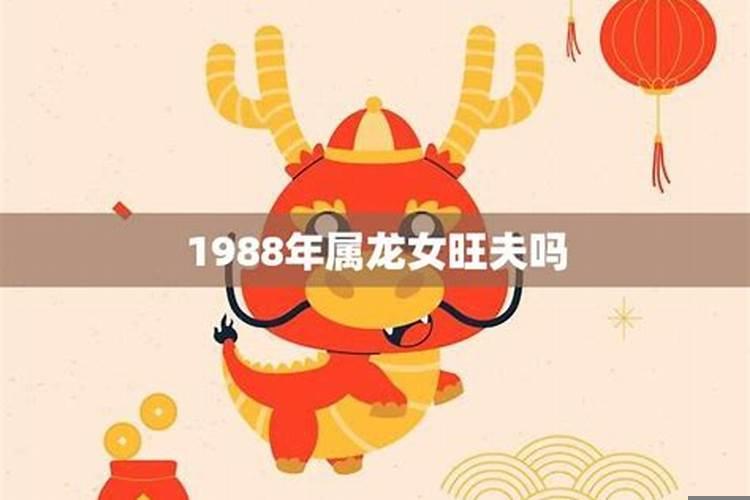 马年今年运势如何呢