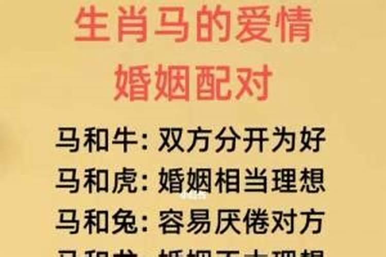 梦见自己老婆被绑架了