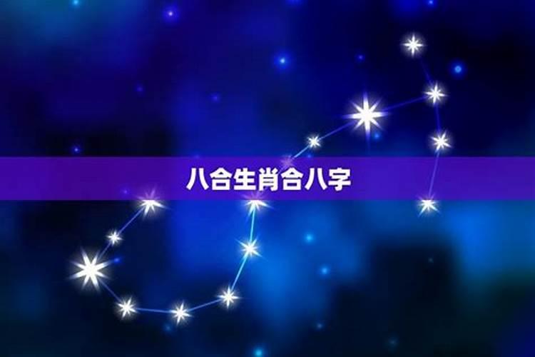 属狗的明星和大佬