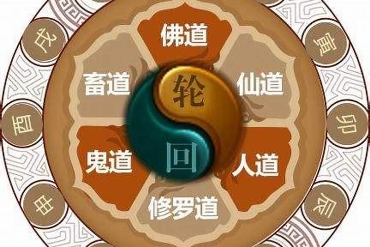 高学历的人八字特点