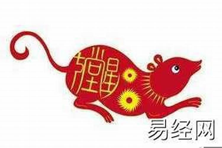 84年生肖属今年运势