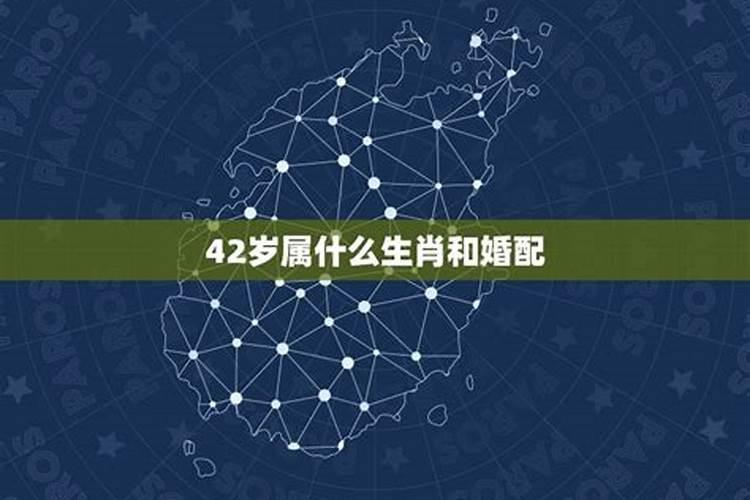 42岁属什么呢