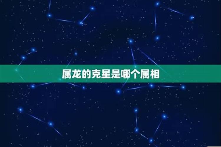 哪位明星属龙的