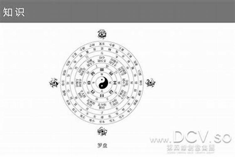 梦见下发洪水淹公路