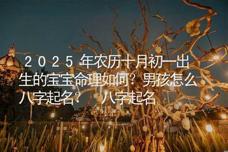 时辰八字里龙马不合吗