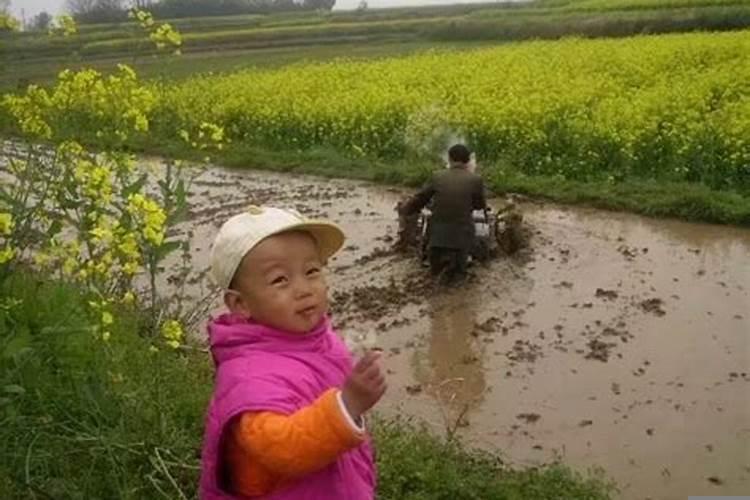 生肖属鸡和什么属相配对