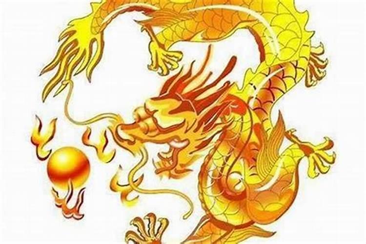 属羊出生年份表年龄