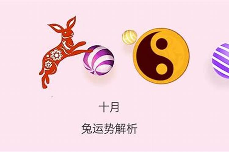 属兔的今年十月运程怎样