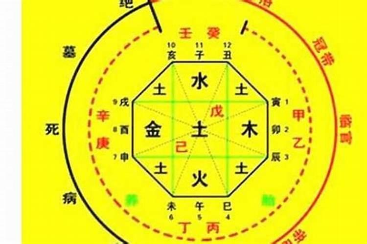 梦到家里有只兔子是什么意思