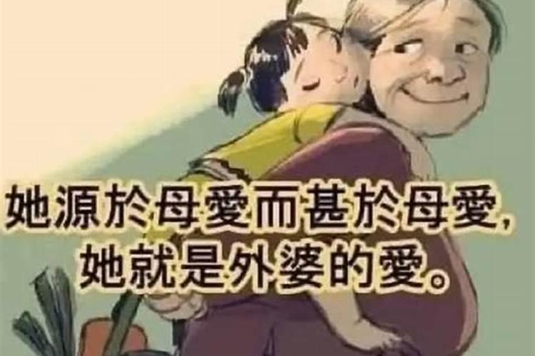 梦见狗对我热情