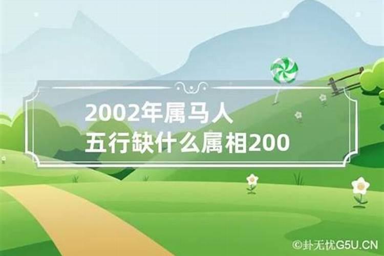 2002五行属什么