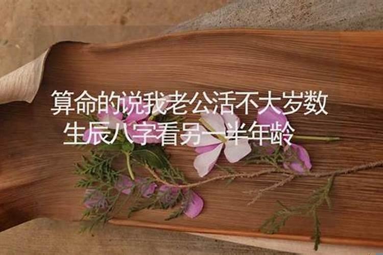 属兔未来三年运势大揭秘