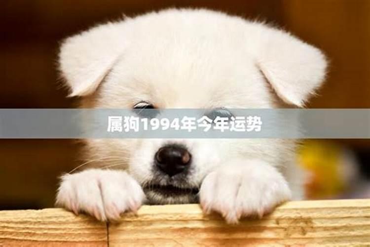 2023年属羊人还犯太岁吗