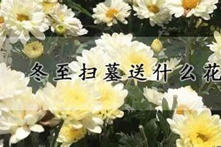 梦见一间房子很多门,可以走来走去