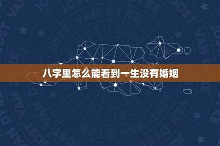 琵琶起舞换新声年什么生肖