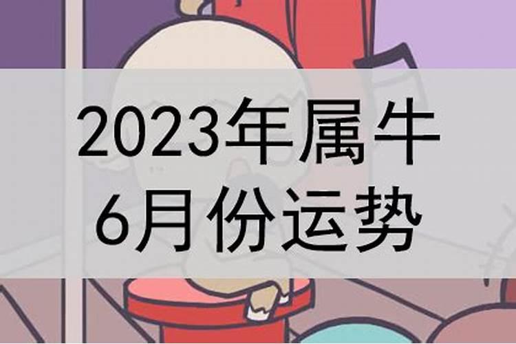 午马2021运气