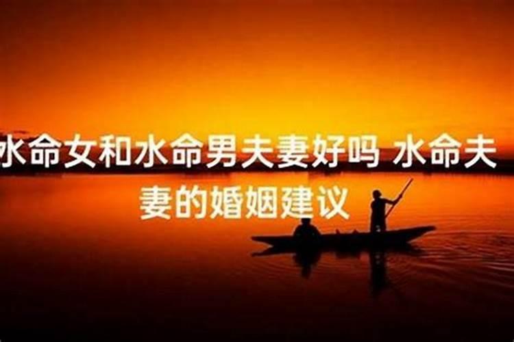 梦见全是狗什么意思周公解梦