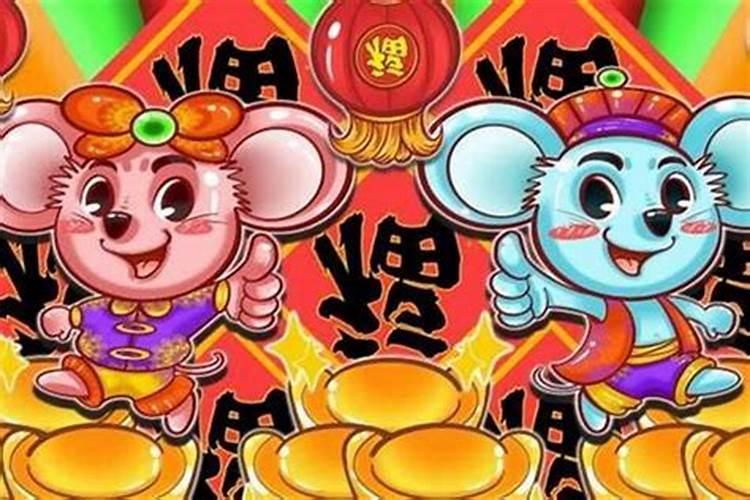 属鼠今年姻缘