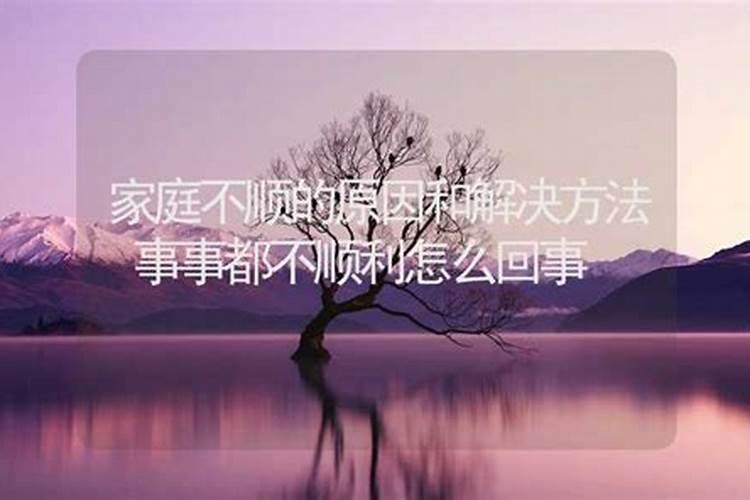 六十岁女人梦见两只黑狗进家里