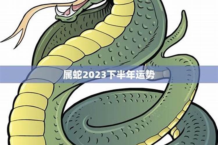 2023年属蛇命运如何