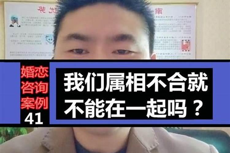 难道属相不合就不能在一起嘛