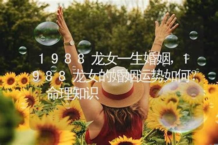 1988年属龙几月命好