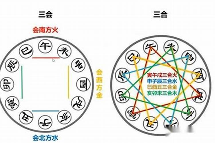 如何分析八字中地支的三合