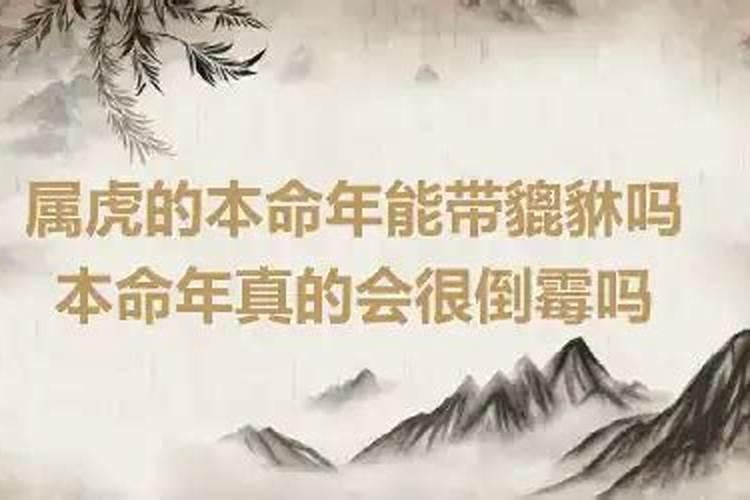 梦见活人装进棺材什么意思啊