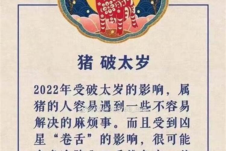 属鼠2023年的12月运势详解