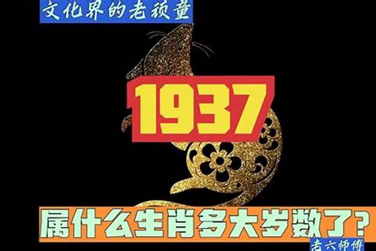 1937年属什么生肖