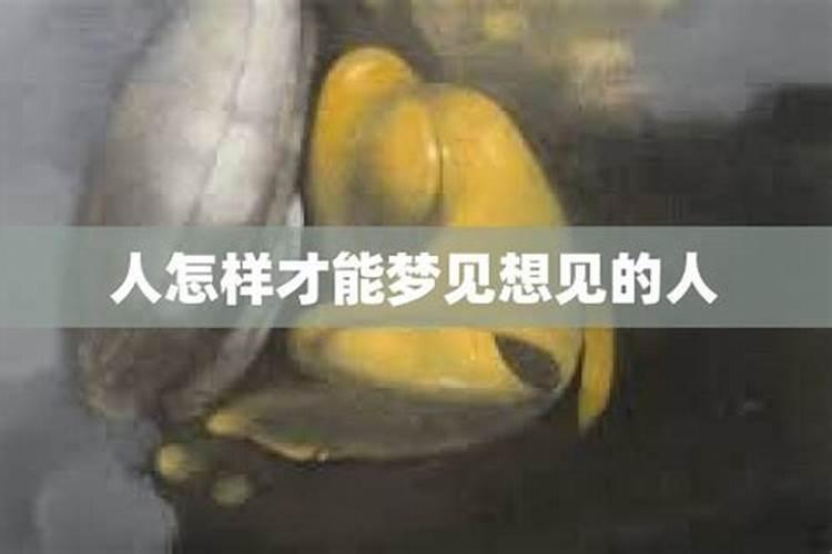 梦见捡鸡蛋是什么意思呢女性周公解梦